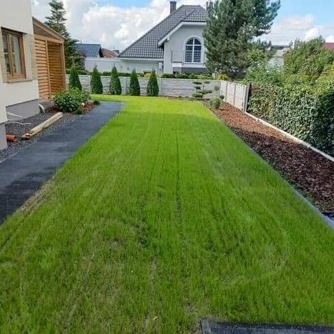Starannie utrzymany trawnik przydomowy z równo przystrzyżoną trawą, obok ścieżka z ciemnej kostki i rabata z korą, w tle dom z szarą dachówką i ozdobne tuje.
