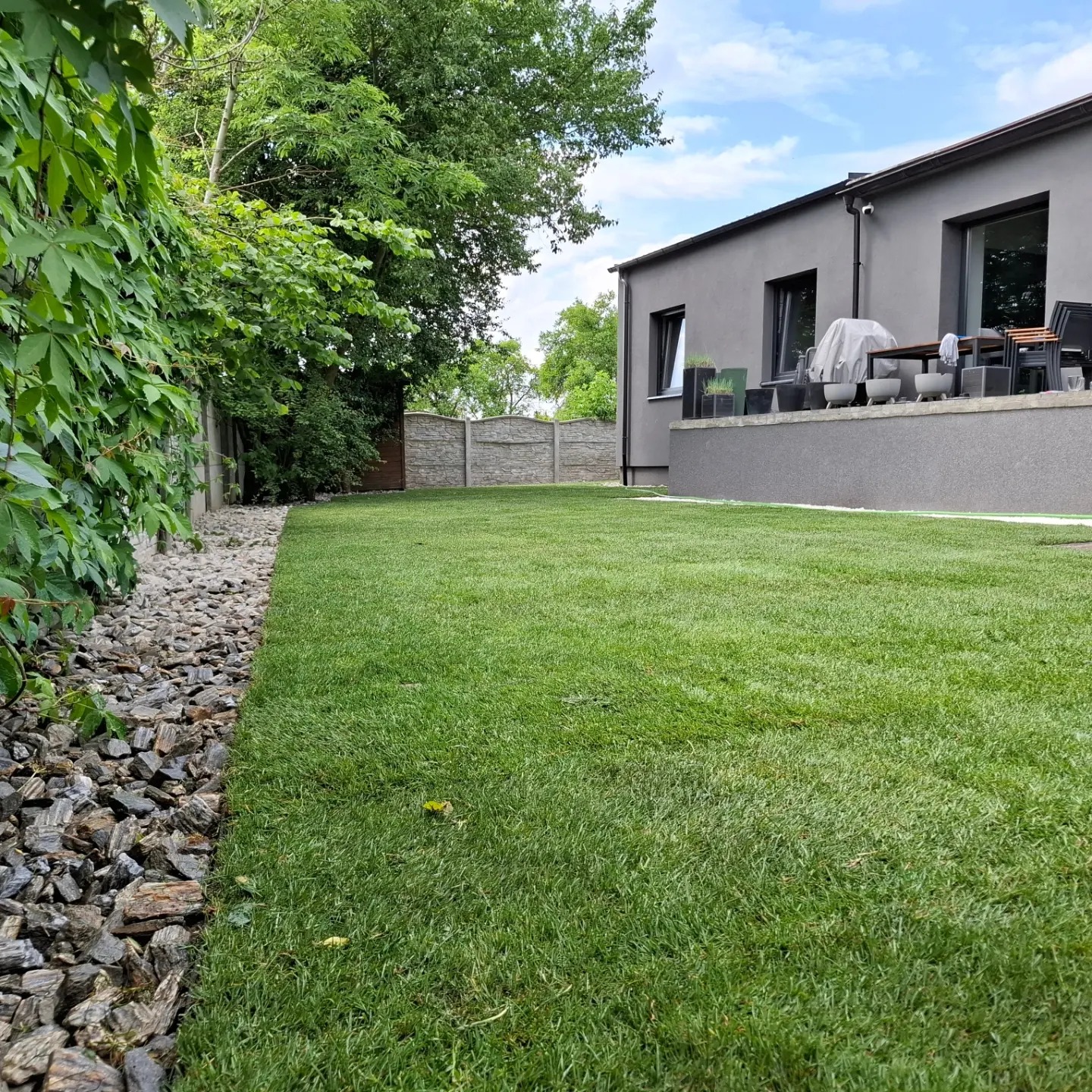 Świeżo założony trawnik z rolki, widok z boku, z wyraźnym przejściem do rabaty wysypanej kamieniem, nowoczesny dom w tle.