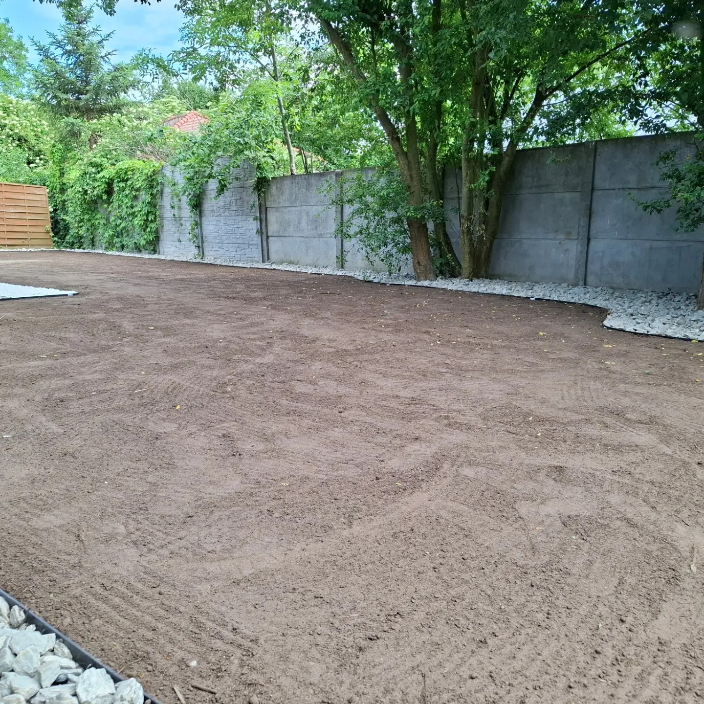 Przygotowany teren pod trawnik z widocznymi śladami po bronowaniu, obrzeżami z białego kamienia i betonowym ogrodzeniem porośniętym bluszczem w tle.