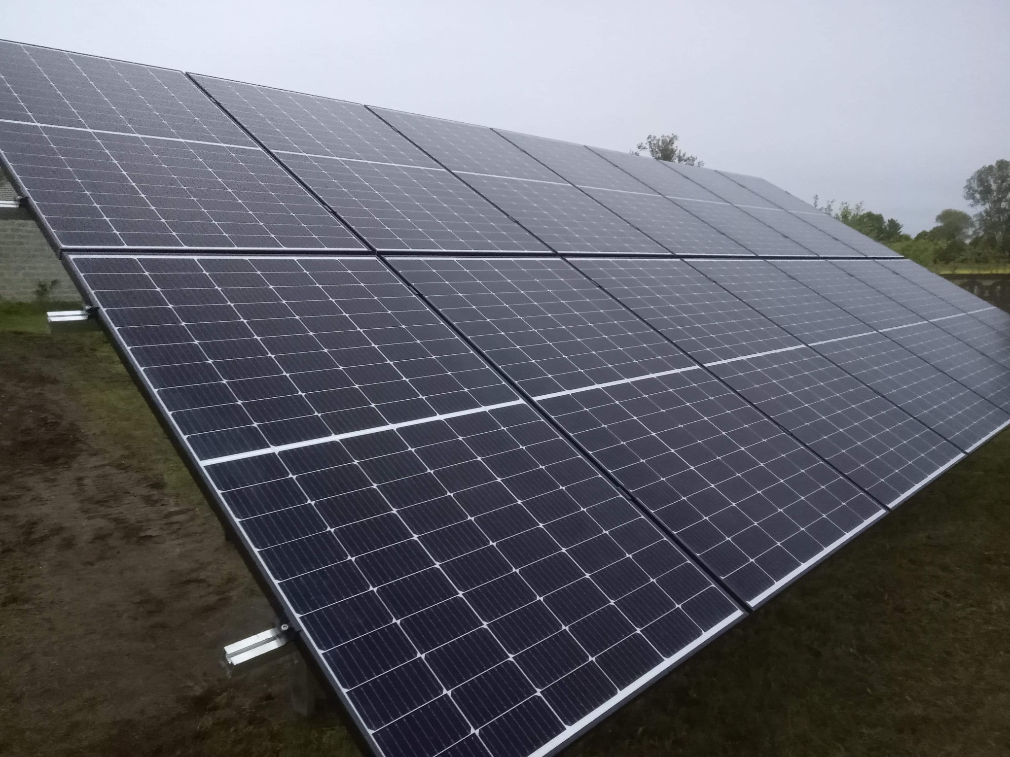 Rząd paneli fotowoltaicznych zamontowany na ziemi, widoczne metalowe elementy konstrukcyjne, tło stanowi pochmurne niebo i zieleń.