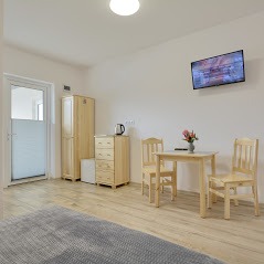 Wnętrze dwupokojowego apartamentu z jasnymi drewnianymi meblami: szafa, komoda, stół z dwoma krzesłami, czajnik elektryczny i telewizor na ścianie. Na stole wazon z różowymi kwiatami. Podłoga...