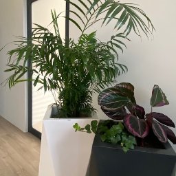 Gliwice 1-zieleń we wnętrzach biurowych