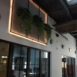 Gliwice 2- zielone biura