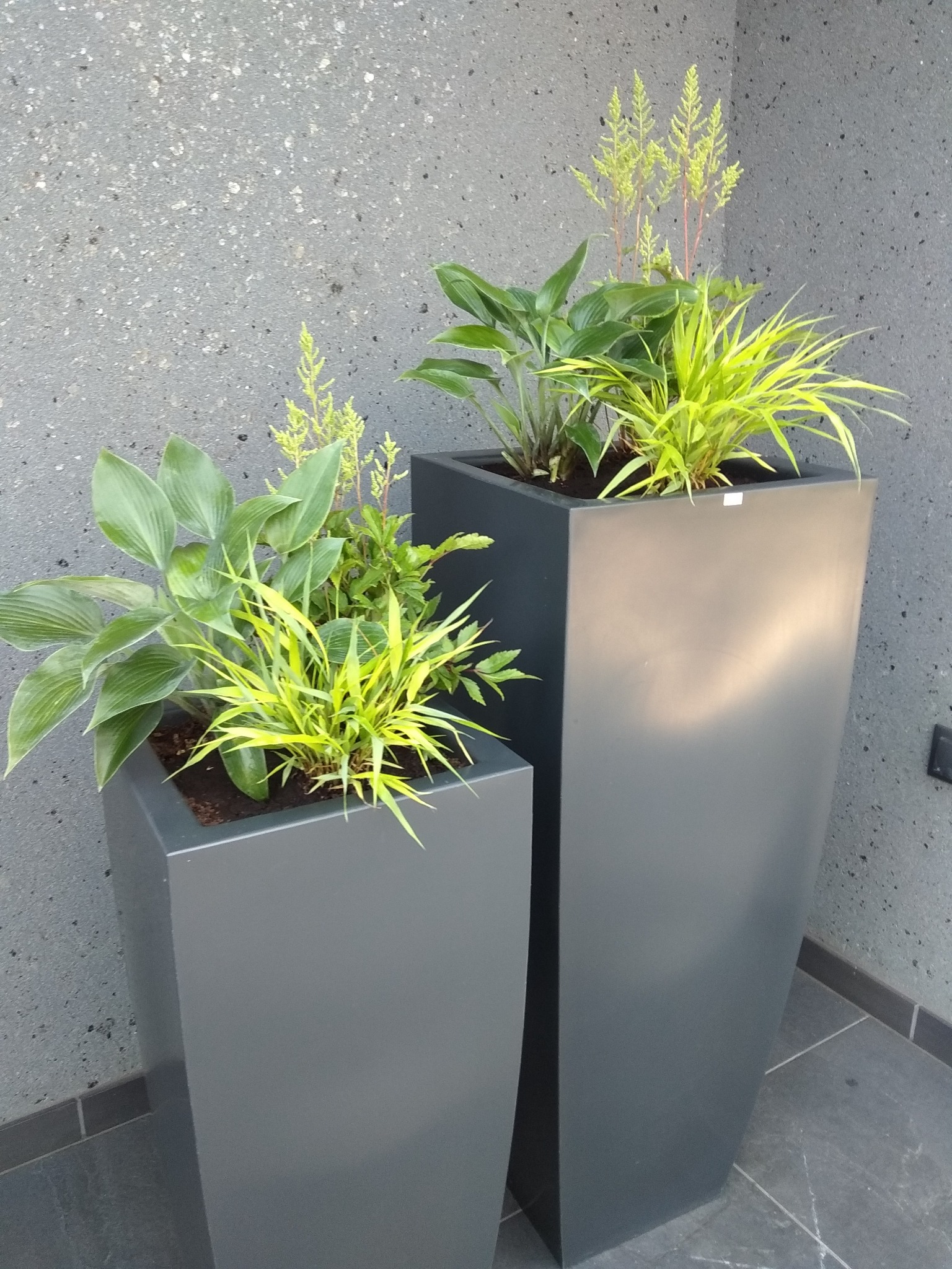 Gliwice-zieleń w donicach