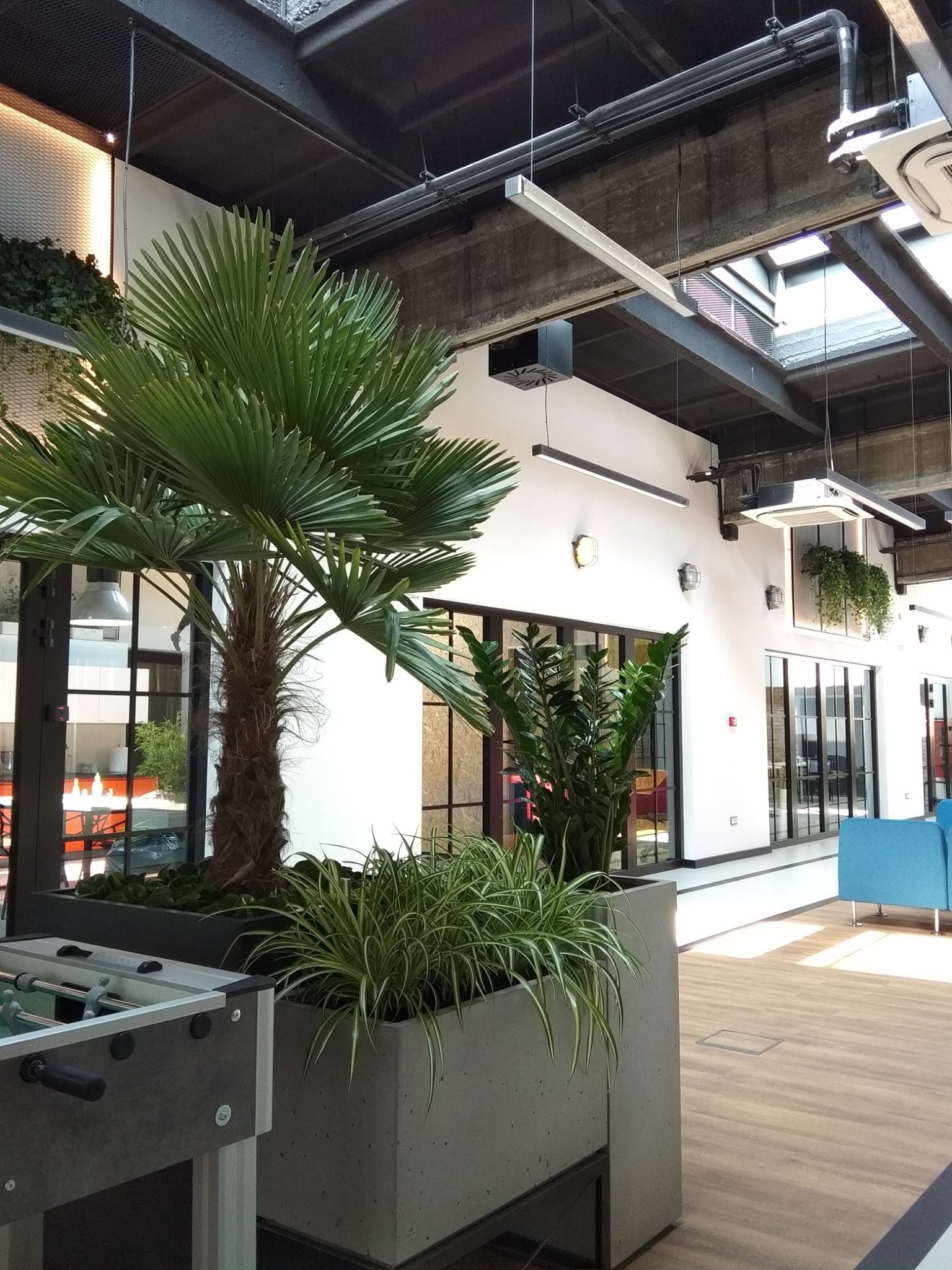 Gliwice 2-zielona aranżacja przestrzeni biurowej