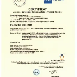 Skan certyfikatu ISO 9001 wydanego przez Europejskie Centrum Jakości i Promocji Sp. z o.o. dla firmy SALUD SEGURIDAD EN LA TRABAJA, obejmującego outsourcing, HACCP, szkolenia pierwszej pomocy...