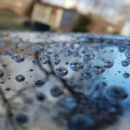 Krople wody na lakierowanej powierzchni samochodu, z odbiciem drzew i nieba w każdej kropli, ukazujące efekt hydrofobowy po woskowaniu.