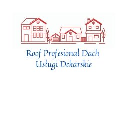 Roof Profesional Dach