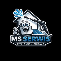 MS SERWIS MATEUSZ STR&Oacute;ZIK - MYCIE CIŚNIENIOWE - Czyszczenie Mokrsko