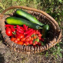 Copywriter Warszawa 4