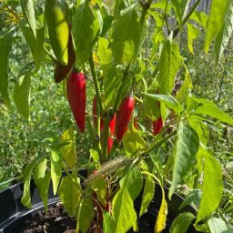 Copywriter Warszawa 2