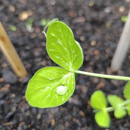 Copywriter Warszawa 1