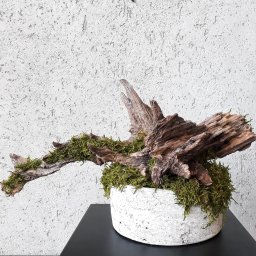 LIMDECOR - Dekoracja z drewna i mchu w białej, okrągłej doniczce o porowatej strukturze, na ciemnym blacie i tle białej ściany o wyraźnej fakturze.