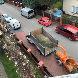 Wycinka drzew Warszawa 2