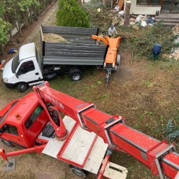 Wycinka drzew Warszawa 3