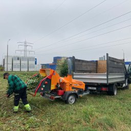 Wycinka drzew Warszawa 4