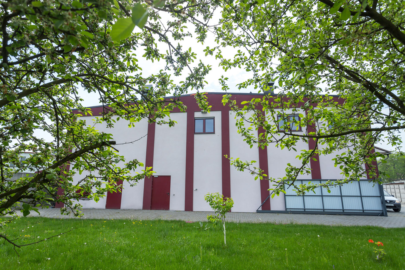Biały budynek z czerwonymi pasami widziany przez gałęzie drzewa z zielonymi liśćmi. Na trawniku rośnie małe drzewko. W tle zaparkowany samochód.