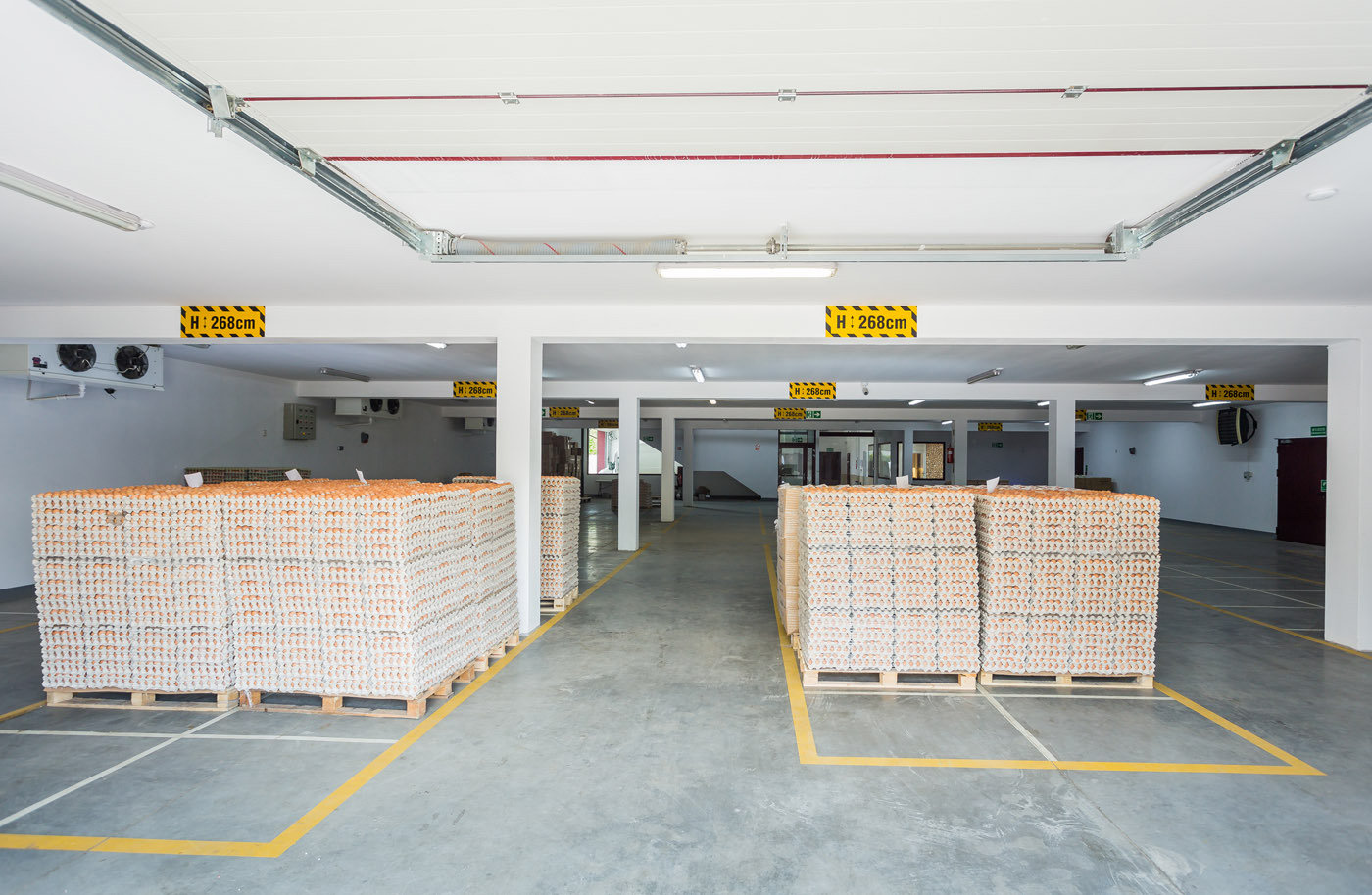Magazyn z paletami pełnymi wytłaczanek z jajami, widoczne oznaczenia wysokości 'H: 268cm', betonowa podłoga z żółtymi liniami, białe ściany i sufit z oświetleniem.
