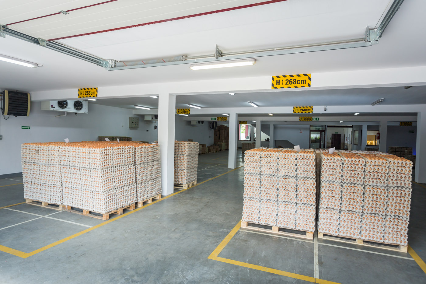 Magazyn jaj: palety z wytłaczankami ułożone w stosy na betonowej posadzce z żółtymi liniami, białe ściany i sufit z instalacjami. Widoczne oznaczenia wysokości.