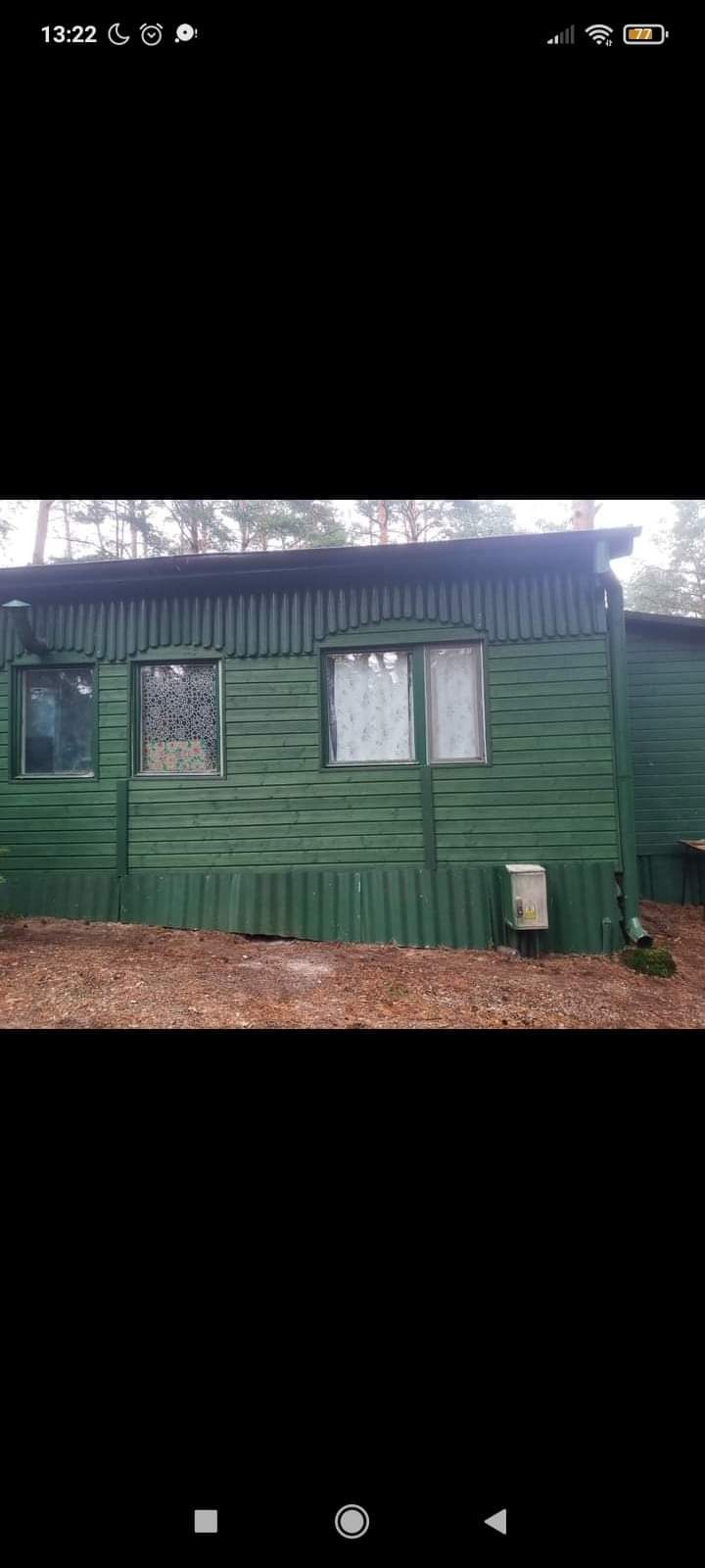 Zielony, drewniany domek letniskowy z trzema oknami, z metalowym kominem i rurą spustową, otoczony ściółką leśną.