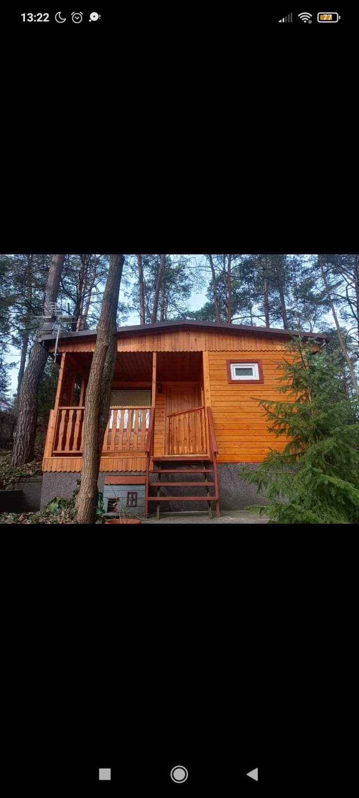 Drewniany domek letniskowy z małym gankiem i schodami wejściowymi, otoczony drzewami iglastymi.