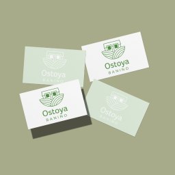 Ostoya Banino - projekt logotypu inwestycji deweloperskiej