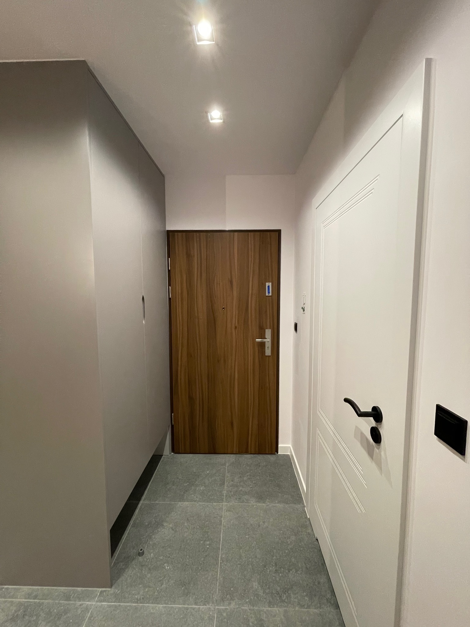 Wnętrze przedpokoju z szarą zabudową szafy, drewnianymi drzwiami wejściowymi i białymi drzwiami wewnętrznymi z czarną klamką, oświetlone punktowo.