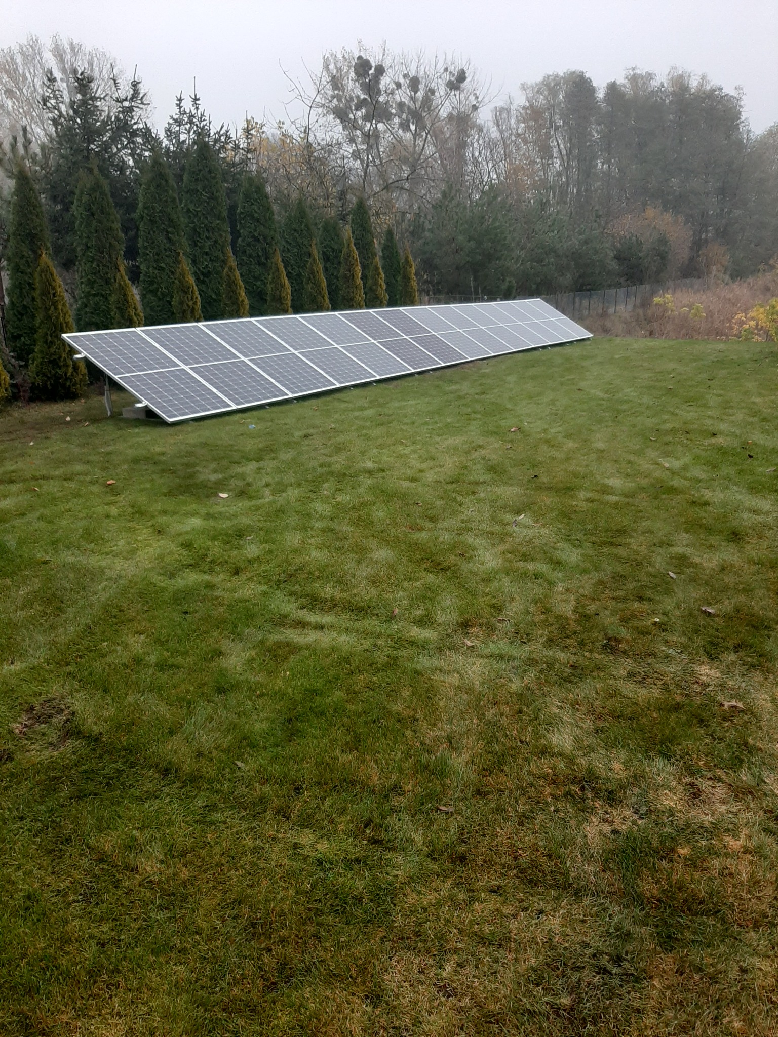 Rząd paneli słonecznych na trawniku przed rzędem wysokich tuj, widok z niskiej perspektywy w pochmurny dzień.