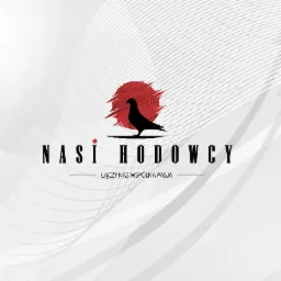 Portal dla hodowców gołębi pocztowych. Pełna identyfikacja.
