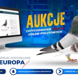 Wideo relacja z wizyty w Centrum Hodowlanym Europa.