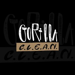 Gorilla Clean Dariusz Rasielewski - Mycie elewacji Wąbrzeźno