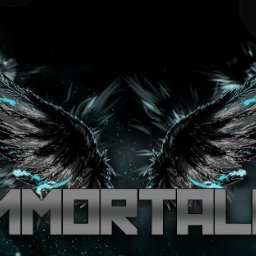 Banner dla Fanpage Immortale Gaming.