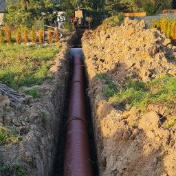 Henrix Dorota Krulikowska - Rośliny i podłoża Pruszków