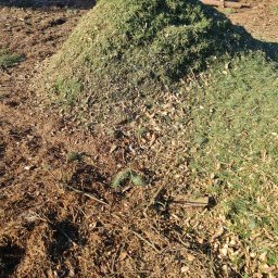 Henrix Dorota Krulikowska - Kupa świeżo zmielonego drewna iglastego i gałęzi, widoczne fragmenty kory i igieł, w tle ściółka leśna.