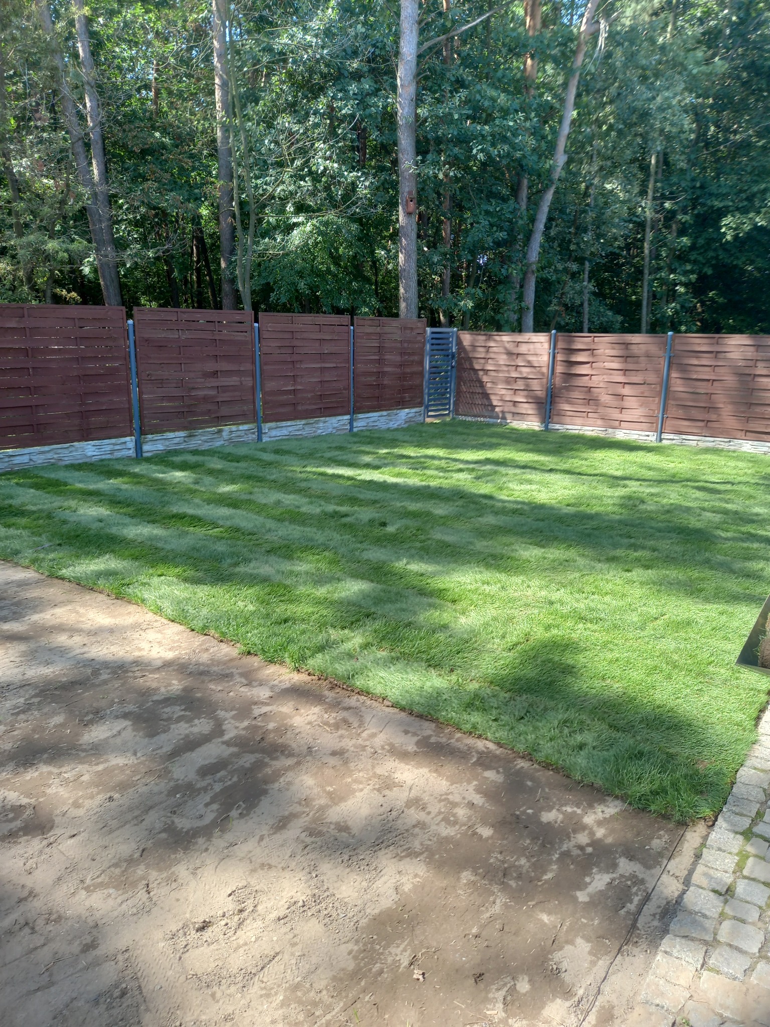 Świeżo założony trawnik z rolki, otoczony brązowym, drewnianym ogrodzeniem panelowym z metalowymi słupkami i fragmentem betonowego chodnika, widok z góry.