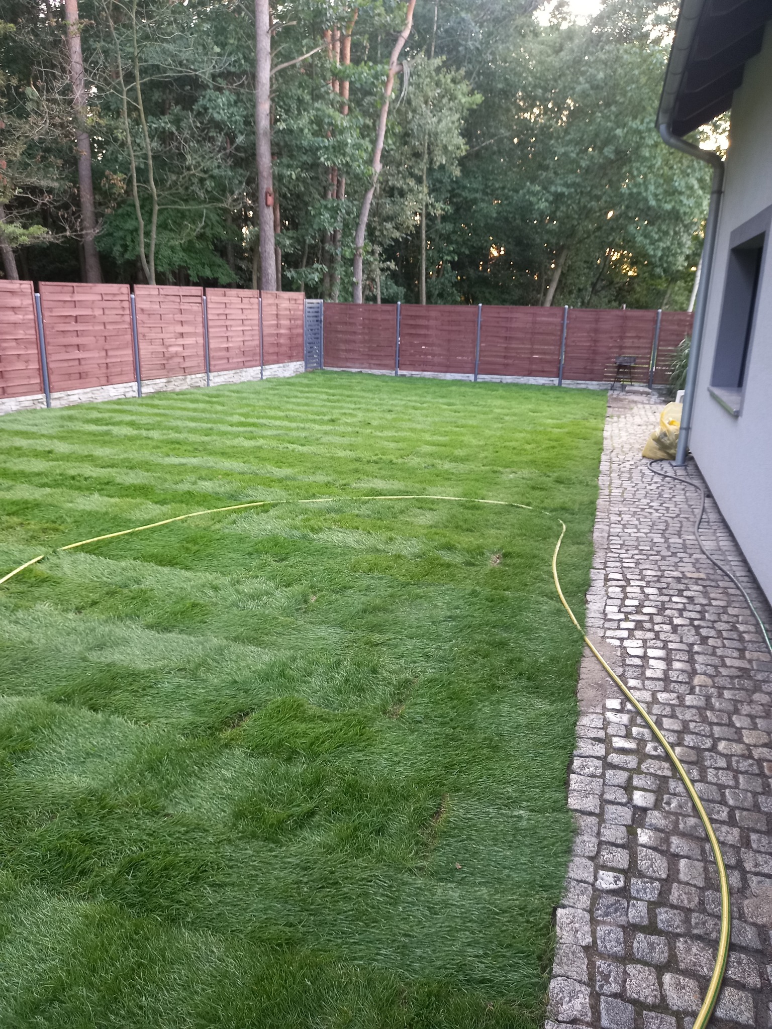 Zakładanie trawników