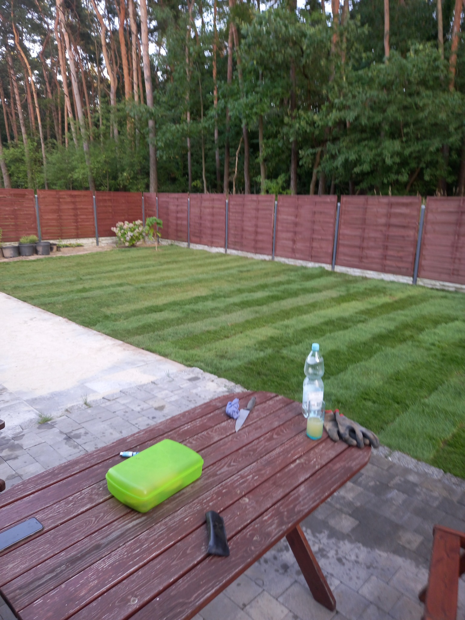 Świeżo skoszony trawnik z pasami, widok z góry na drewniany stół piknikowy z butelką wody, szklanką soku, pudełkiem śniadaniowym i rękawicami ogrodowymi, w tle brązowe ogrodzenie i drzewa.