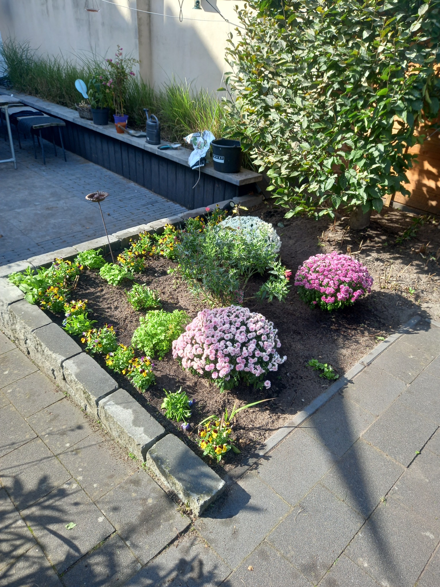 Sadzenie i plewienie