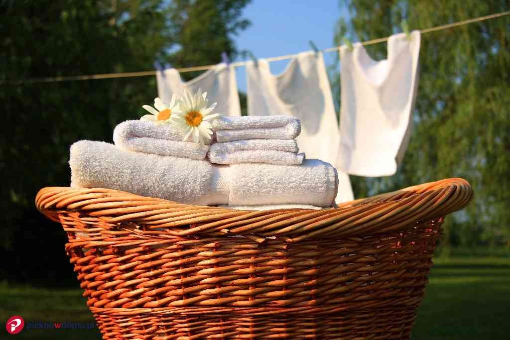 Wiklinowy kosz pełen świeżo wypranych, białych ręczników, ozdobionych dwoma białymi stokrotkami, na tle suszącej się bielizny i zieleni ogrodu.