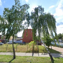 Albert Hałas Eco Alpin tree - Ogrodnik Pułtusk