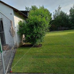 Albert Hałas Eco Alpin tree - Nawadnianie trawnika z nowo posadzoną roślinnością przy budynku, widoczny system zraszaczy. W tle huśtawka.