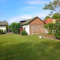 Albert Hałas Eco Alpin tree - Świeżo ułożona, intensywnie zielona trawa z rolki na posesji z budynkiem gospodarczym z czerwonej cegły i białym wiadrem na obrzeżu trawnika.