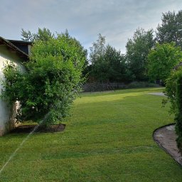 Albert Hałas Eco Alpin tree - Nawadnianie trawnika z rolki przy ścianie budynku, widoczny fragment systemu nawadniania.