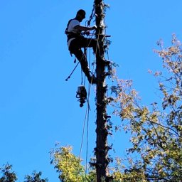 Pielęgnacja ogrodów Pułtusk 4