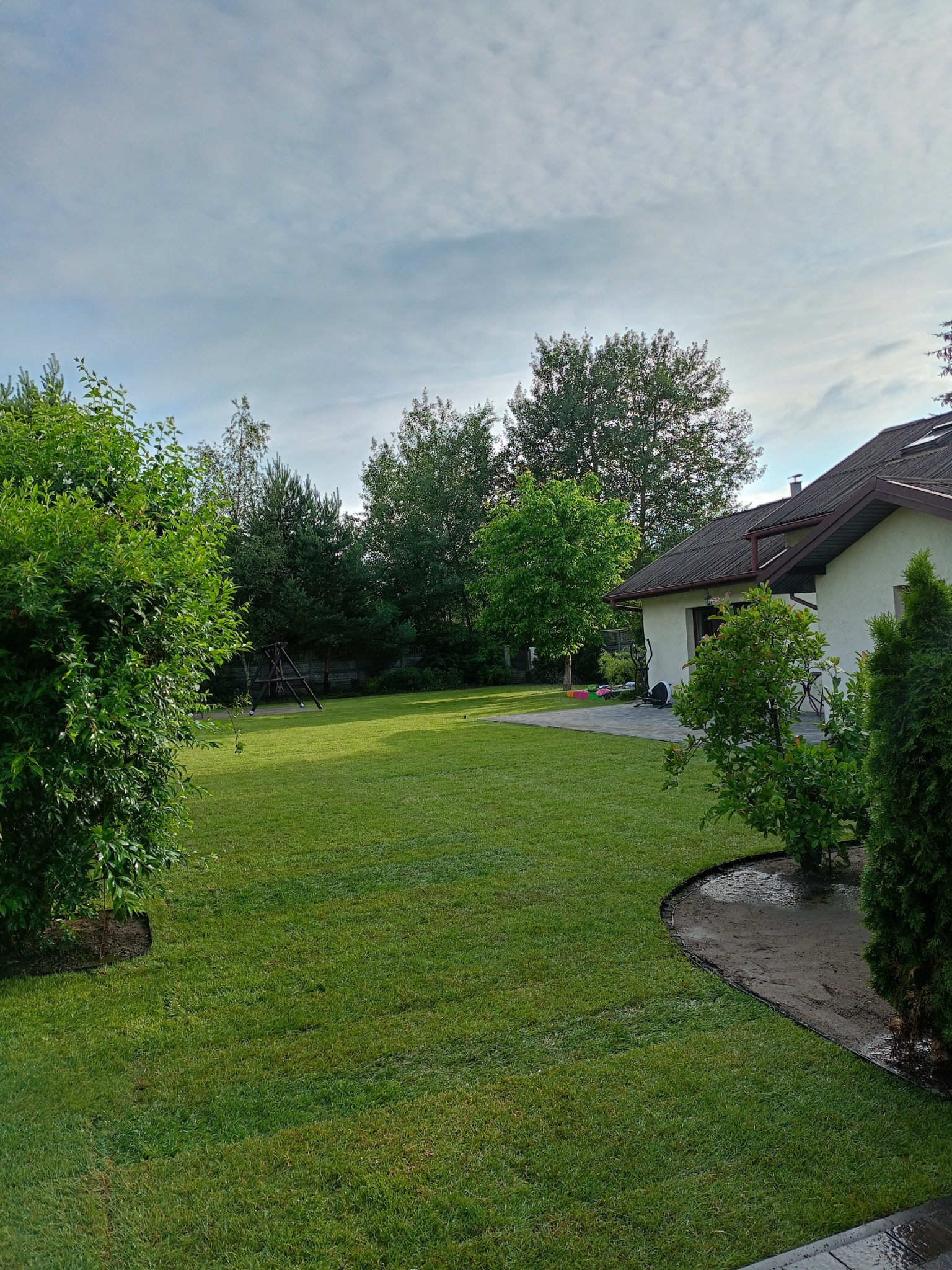 Świeżo założony trawnik z rolki z widocznymi obrzeżami rabat i młodymi drzewkami, na tle domu jednorodzinnego w słoneczny dzień.