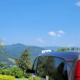 Srebrny van taxi z napisem 'TAXI' na dachu, zaparkowany na brukowanym podjeździe z widokiem na zalesione wzgórza i błękitne niebo.