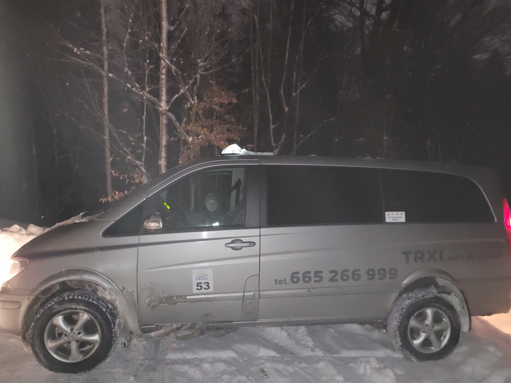 Srebrny van taxi z numerem telefonu na boku, zaparkowany w śniegu na tle ciemnego lasu zimą, z widocznym kierowcą w środku.
