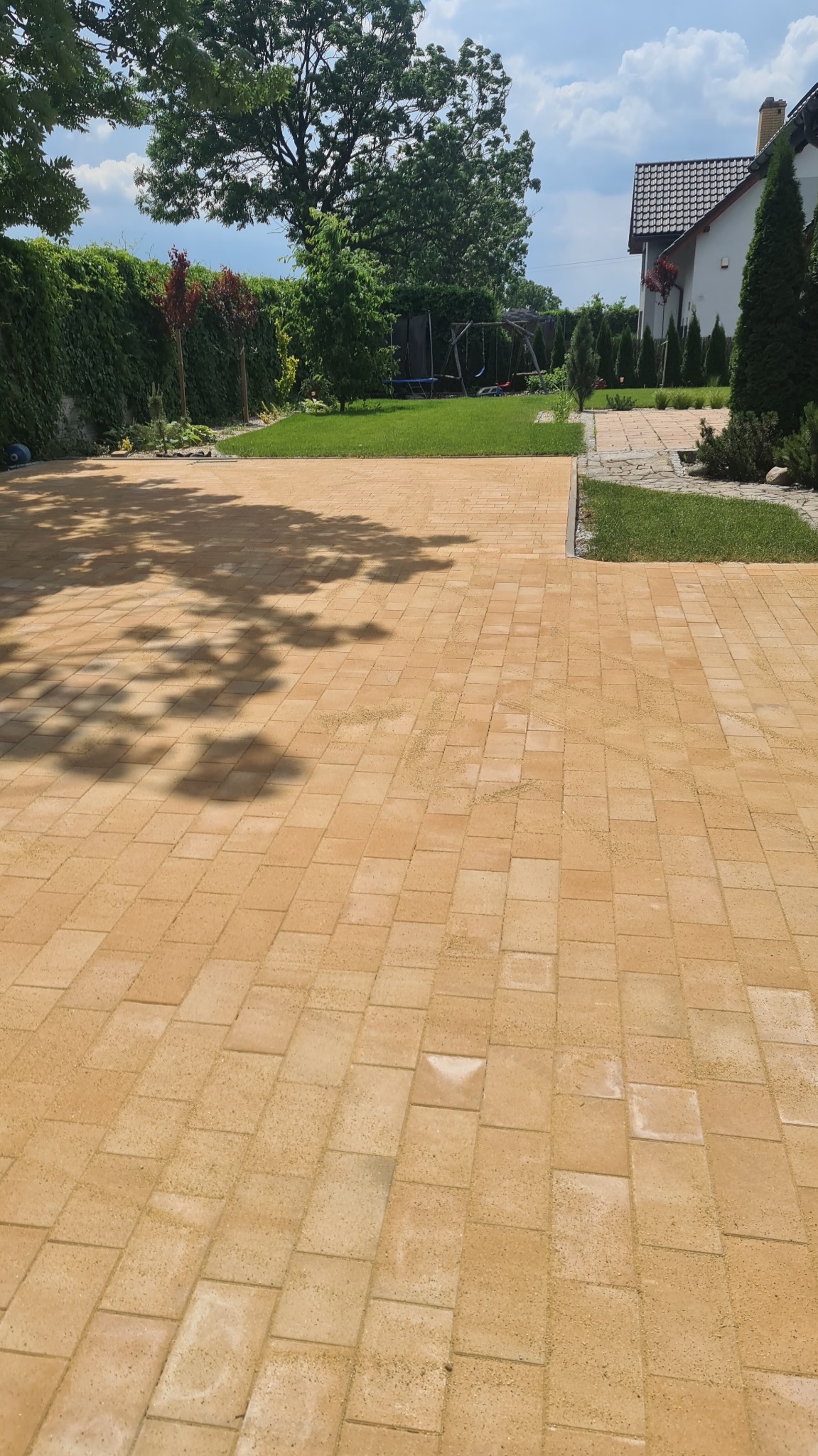 Ułożona, beżowa kostka brukowa na podjeździe przed domem, z widocznym cieniem drzewa i zielonym trawnikiem w tle.