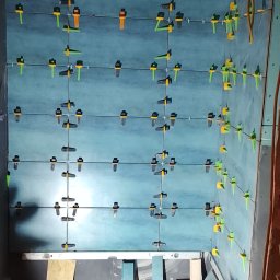 Piotr Waszkiewicz - Remonty mieszkań Sochaczew