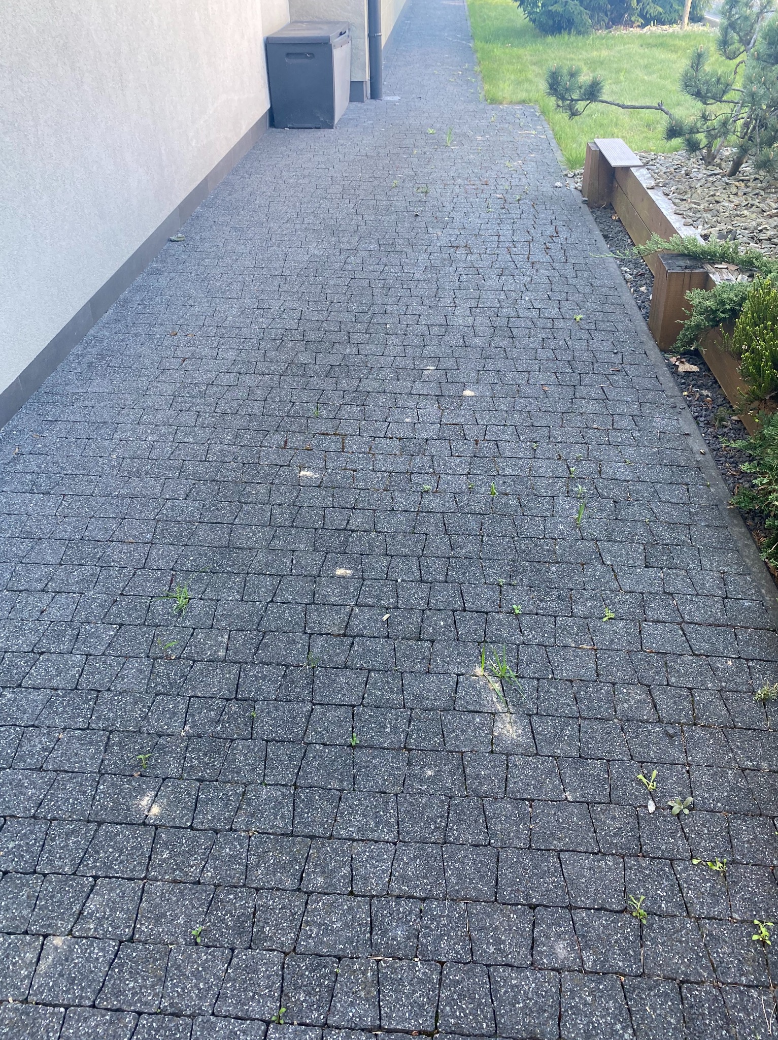 Ciemnoszara ścieżka z kostki brukowej prowadząca wzdłuż ściany budynku i drewnianej rabaty, z pojedynczymi chwastami wyrastającymi spomiędzy kostek.